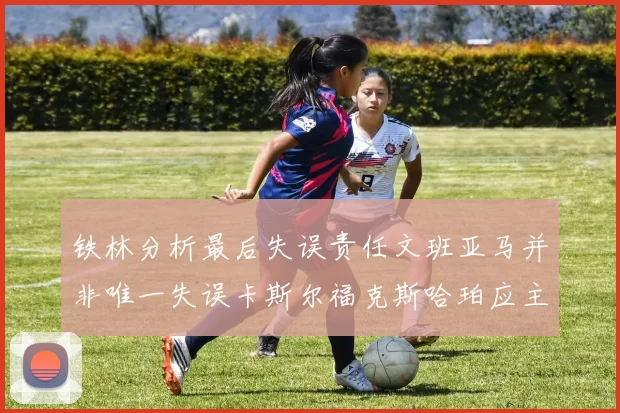 铁林分析最后失误责任文班亚马并非唯一失误卡斯尔福克斯哈珀应主动接球